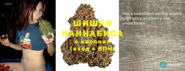 не бодяженный Новозыбков