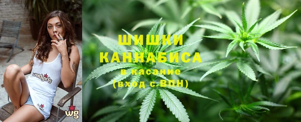 не бодяженный Новозыбков