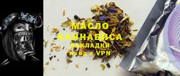 молекула духа Снежногорск