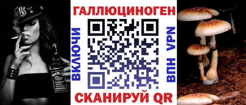 как найти закладки  Заволжье  Галлюциногенные грибы Magic Shrooms 
