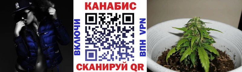 mega зеркало  цены   Заволжье  Бошки Шишки OG Kush 